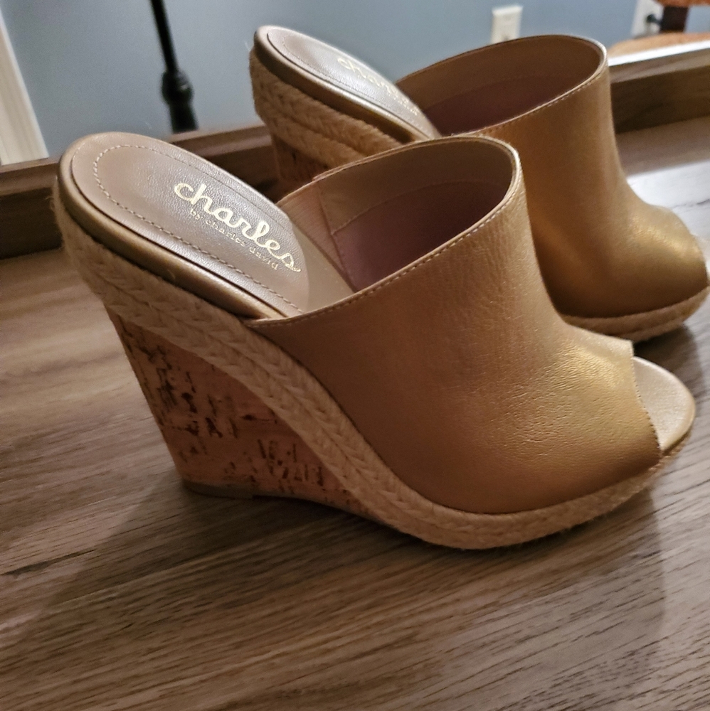 Peep Toe Wedges NWT